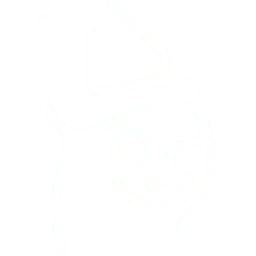 Ginecología y Obstetricia